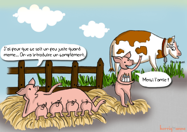 allaitement complément