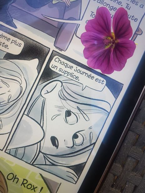 100943951_2991781114246248_5785402272917749760_o